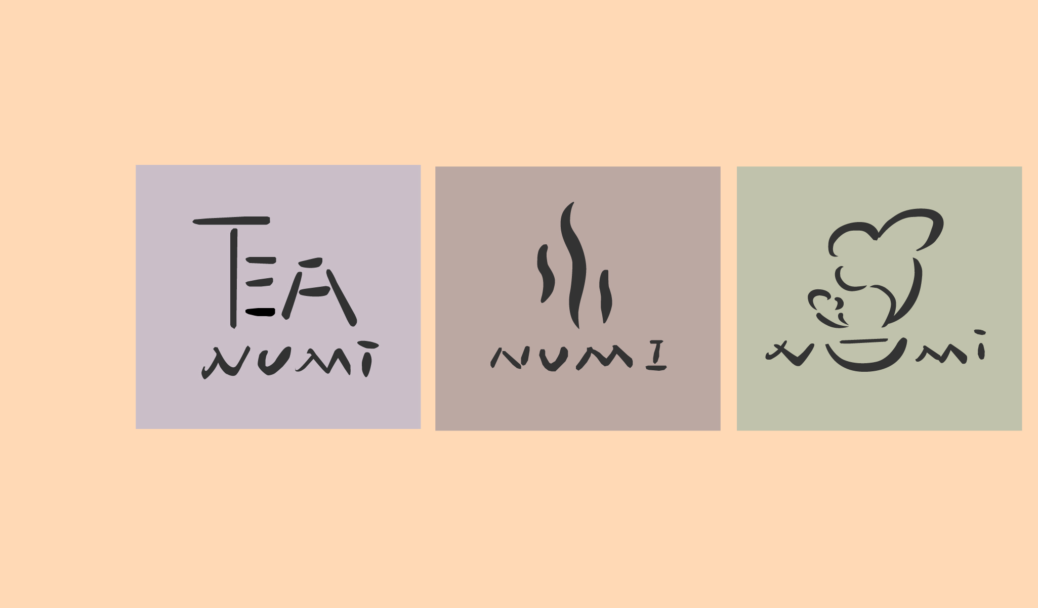 Three Numi Tea logo concept directions